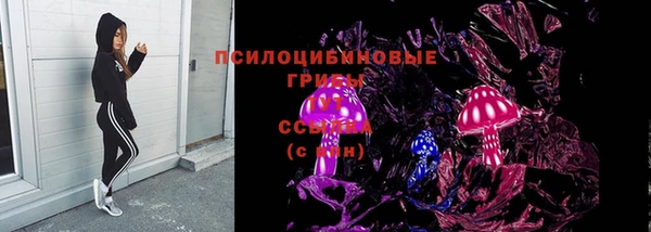 прущие крисы Аркадак