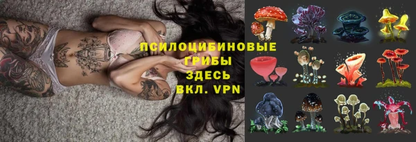 ГАЛЛЮЦИНОГЕННЫЕ ГРИБЫ Балахна
